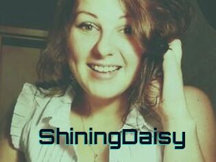 ShiningDaisy