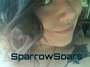 SparrowSoars