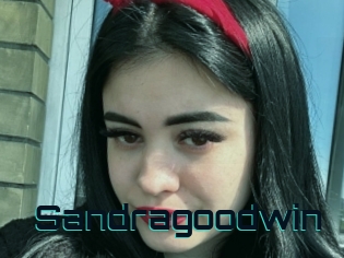 Sandragoodwin