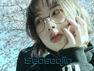 Seosoojin