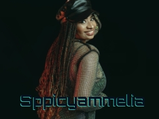 Sppicyammelia