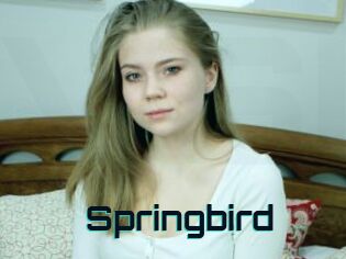 Springbird