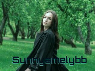 Sunnyamelybb