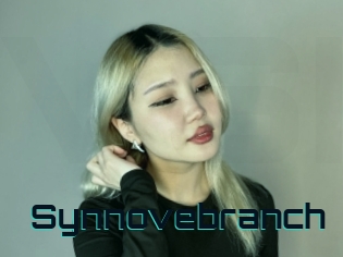 Synnovebranch