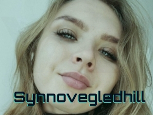 Synnovegledhill