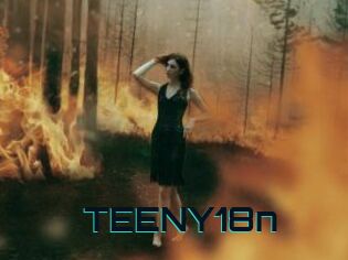 TEENY18n