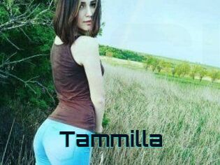 Tammilla_