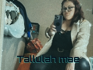 Tallulah_mae