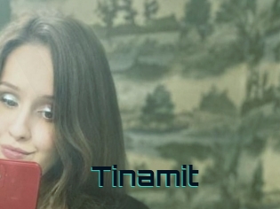 Tinamit