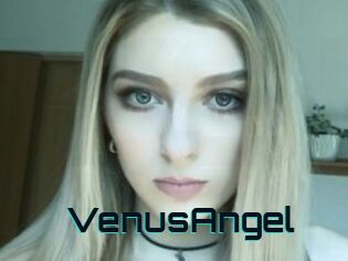 VenusAngel