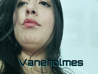 Vaneholmes