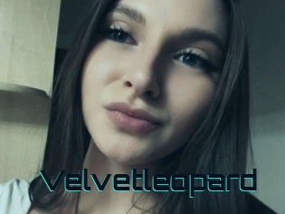 Velvetleopard