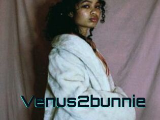 Venus2bunnie