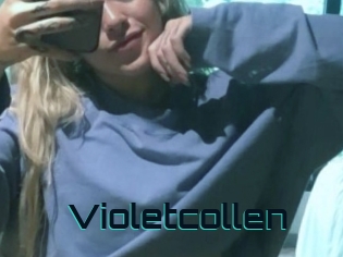 Violetcollen