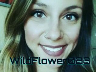 WildFlower023