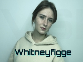 Whitneyfigge