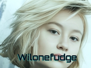 Wilonefudge
