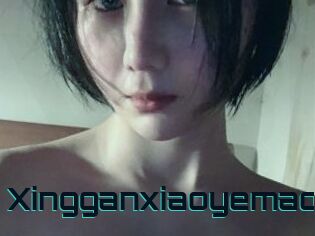 Xingganxiaoyemao