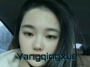 Yangqingxue