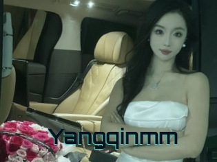 Yangqinmm