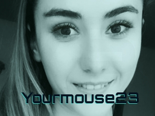 Yourmouse23