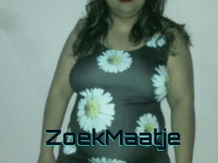 ZoekMaatje