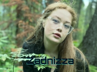 Zadnizza