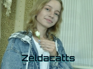 Zeldacatts