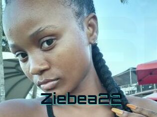 Ziebea22