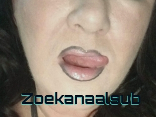 Zoekanaalsub